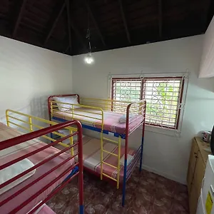 The @ Peaceful Palms Hostel Montego Bay