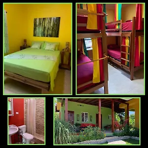 Queendom Farm And Hostel Oracabessa